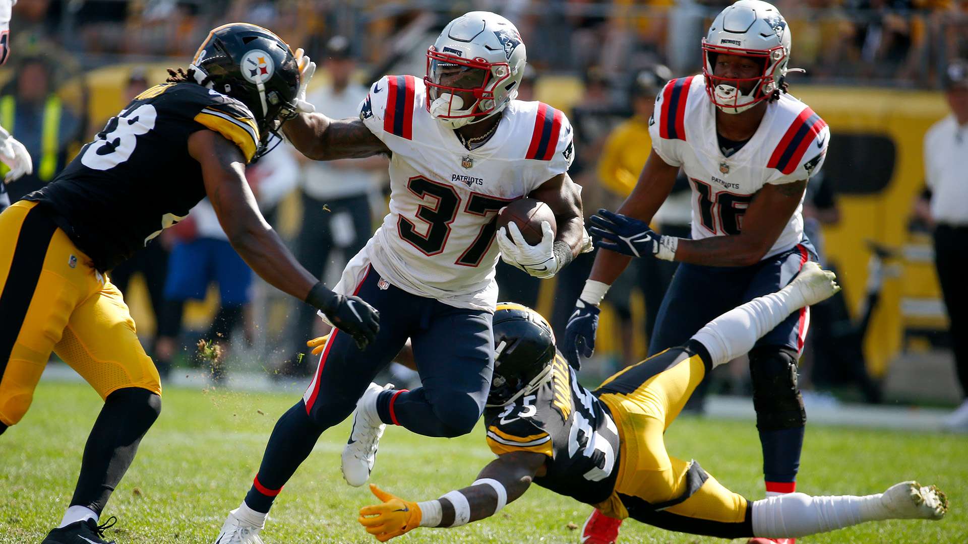 这种专业化 这种专业化