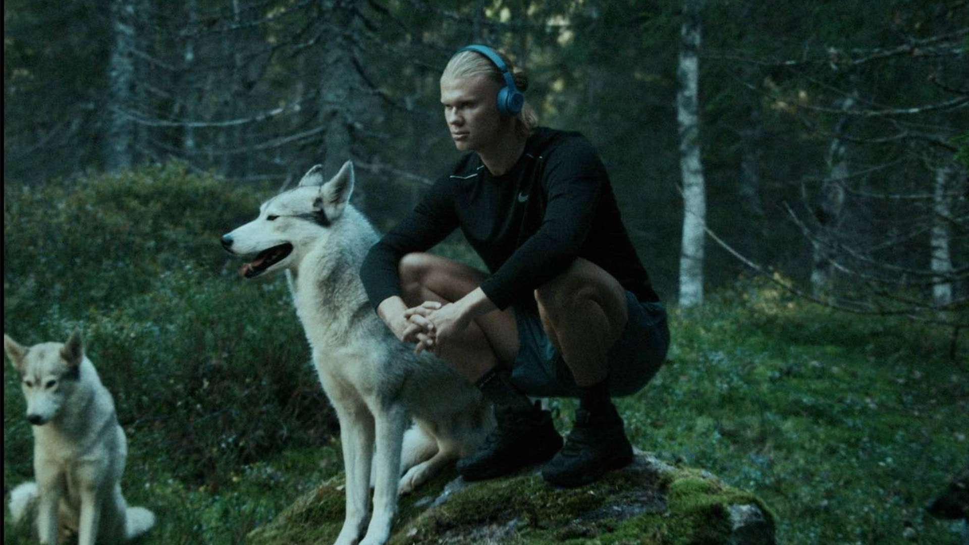 场上的表现 场上的表现